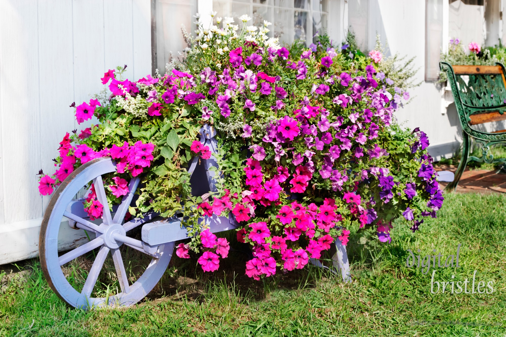 Small town store with painted wagon flower planter