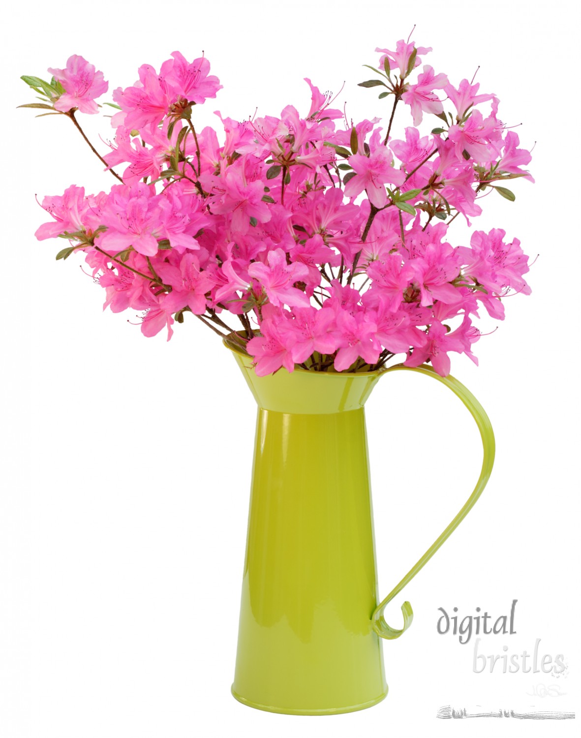 Pink azaleas in a lime green enamel jug