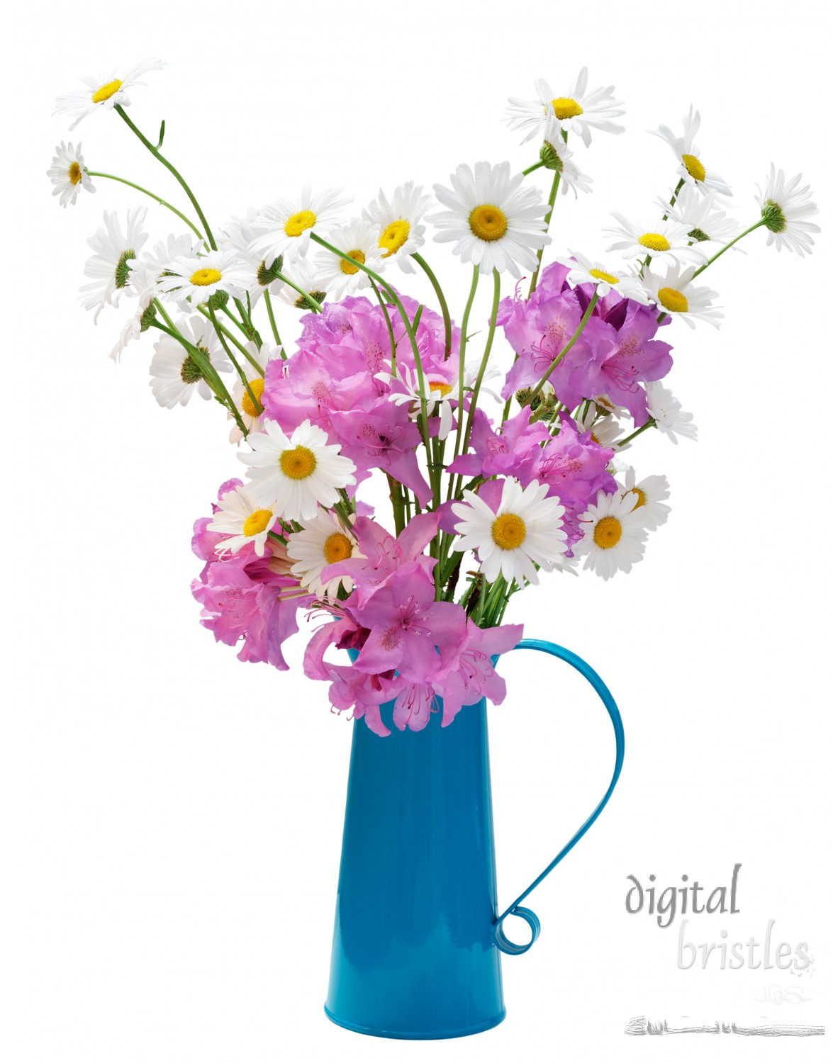 Daisies and rhododendrons in a turquoise enamel jug 