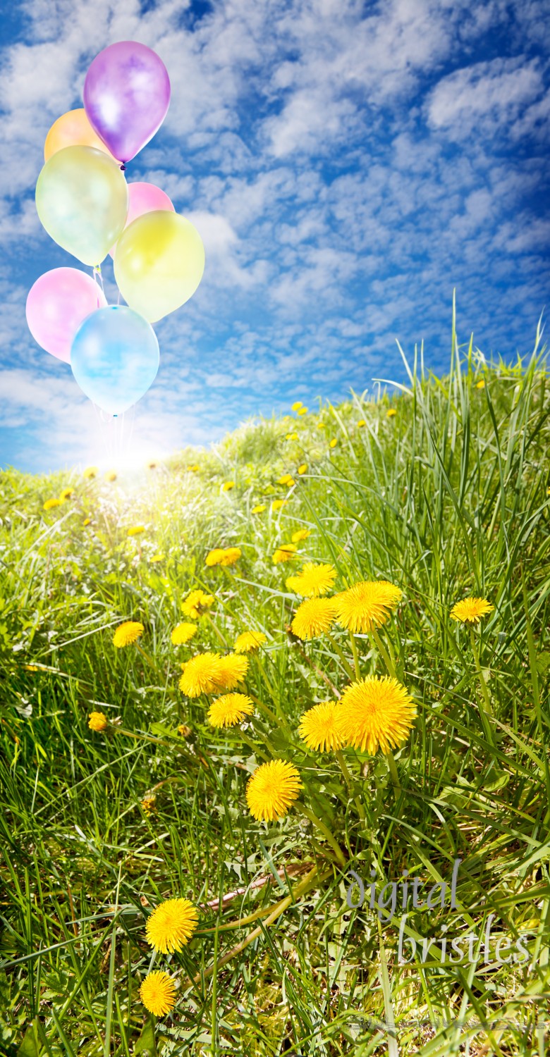 Balloons rising above a sun-drenched meadow