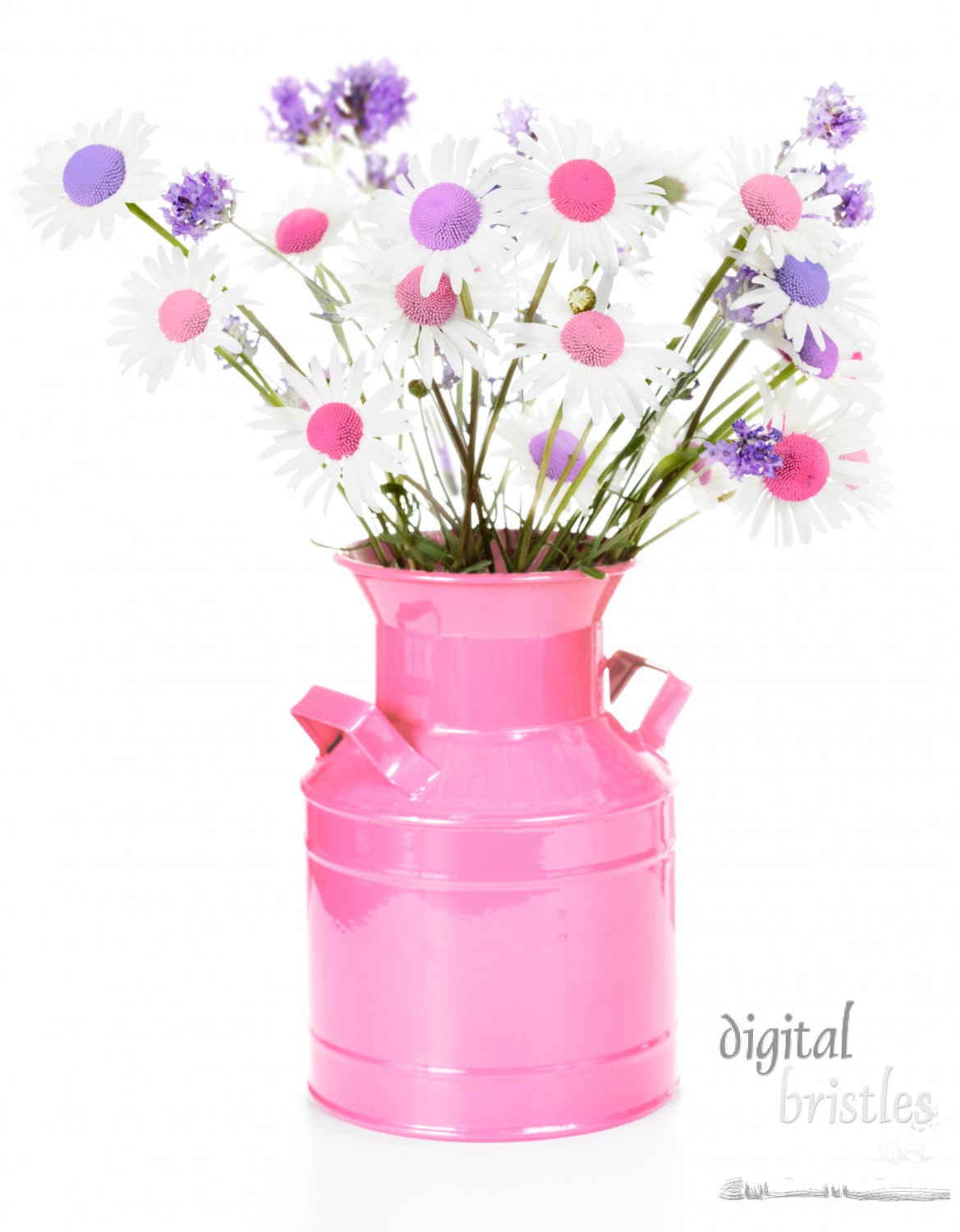 Vase of pastel pink & blue daisies & lavender in a pink enamel vase