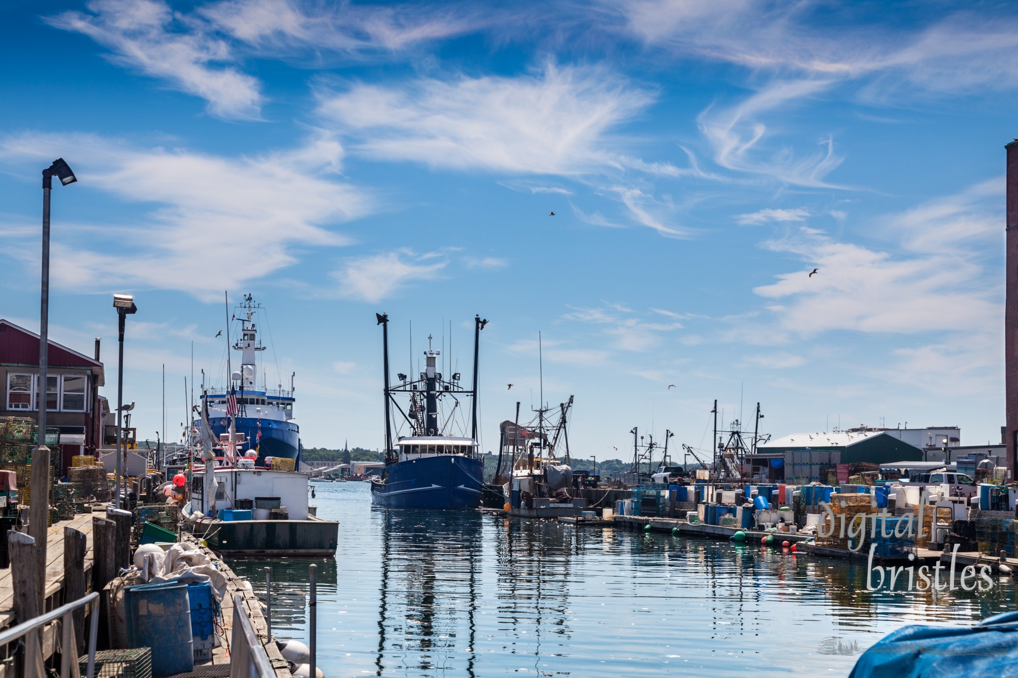 Busy working waterfront piled with lobster traps and other gear, Portland, Maine