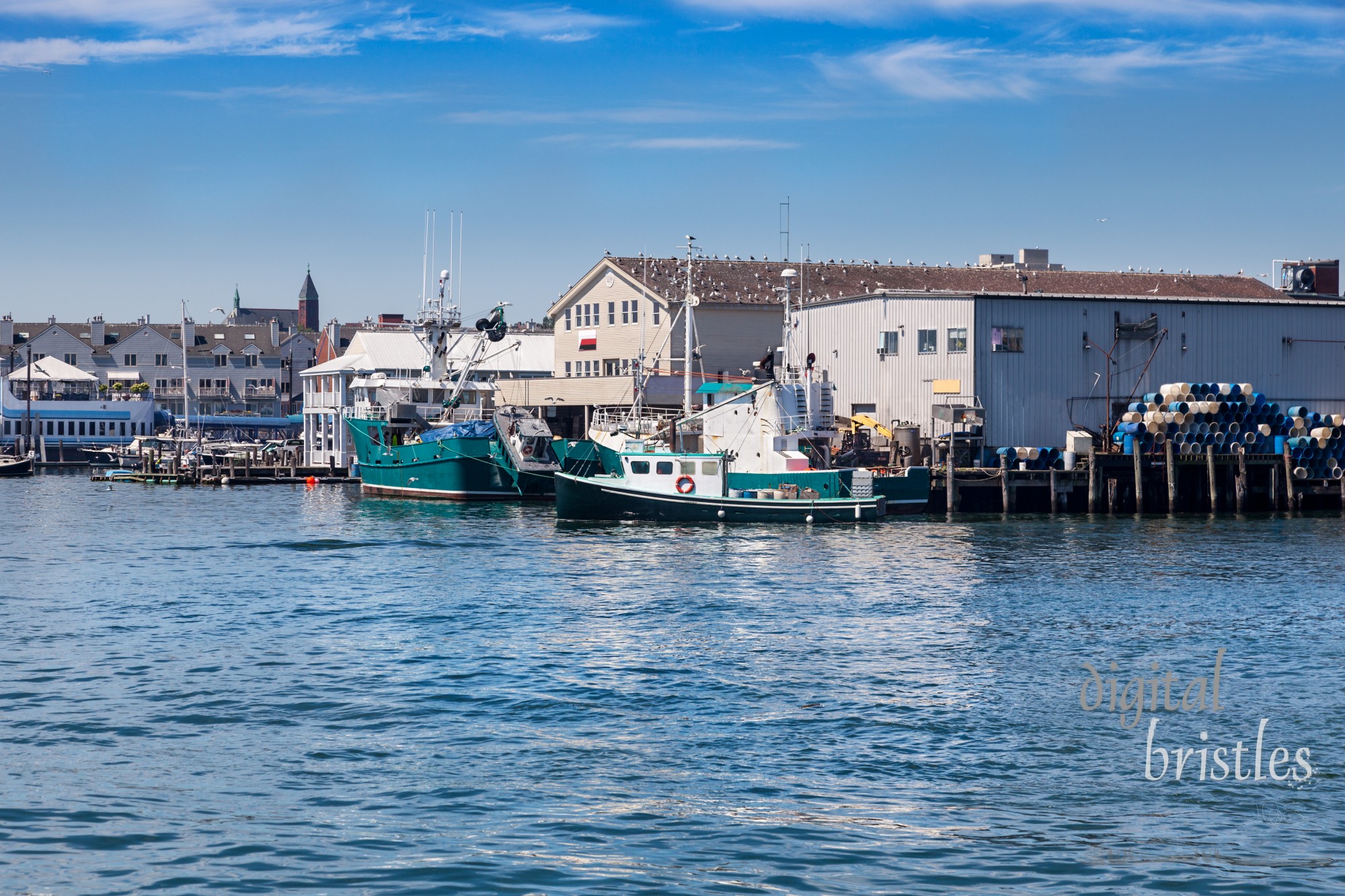 Portland's working waterfront is jam packed with boats and seagulls