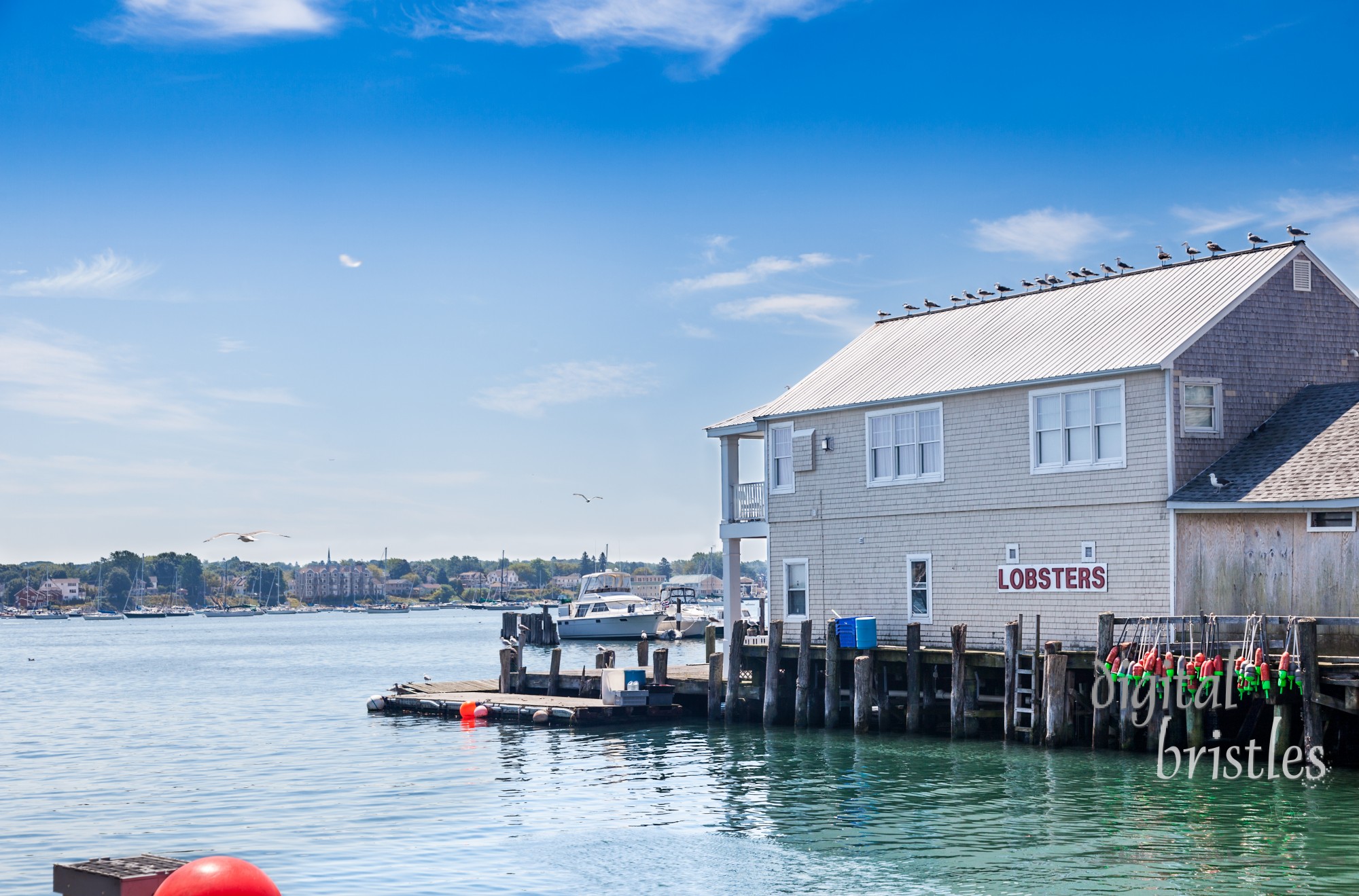 Lobster distribution is big business in Maine. Portland Pier looking out to Casco Bay.