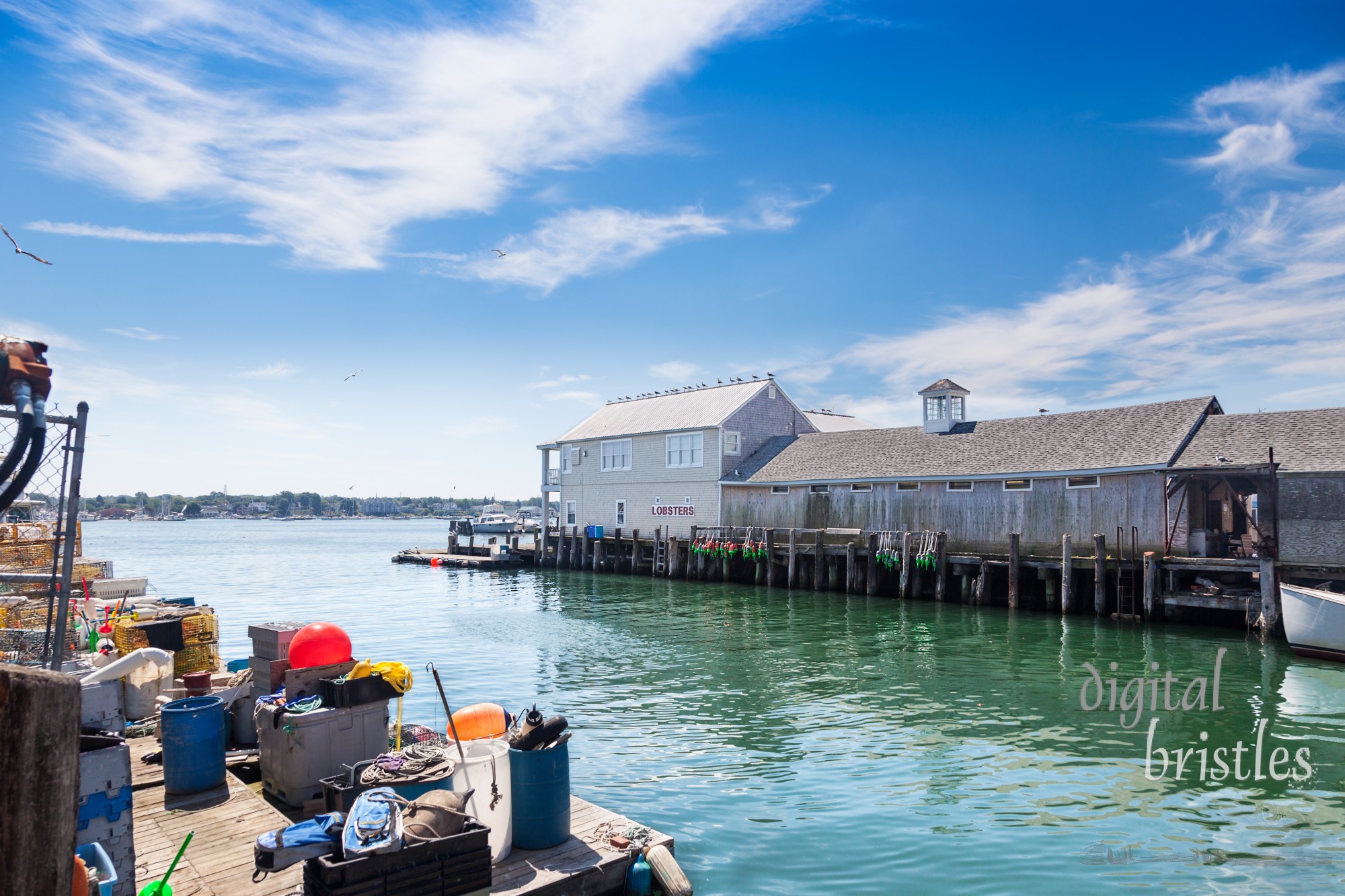 Portland Pier and Custom House Wharf filled with fishing gear and lobster pots