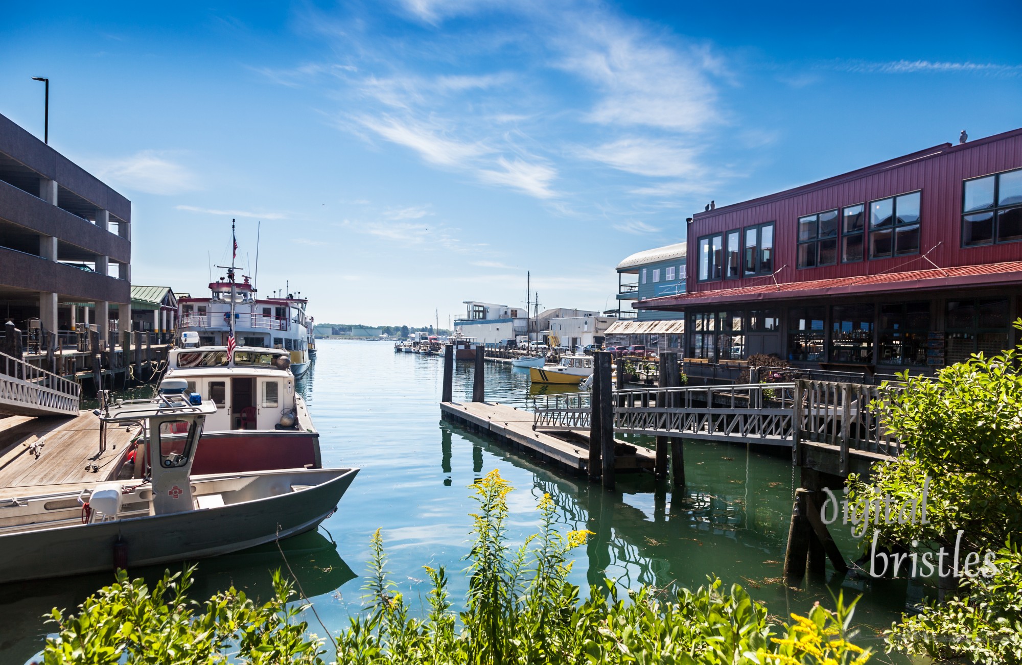 Docks at Maine State Pier are in heavy use