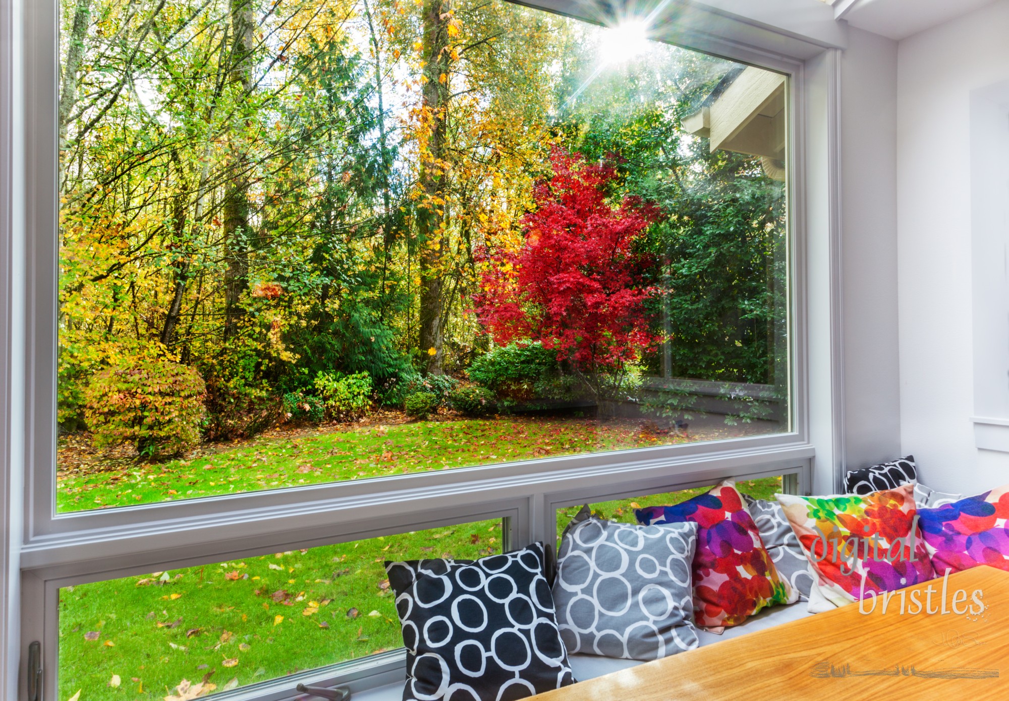 Fall color and leaves on the grass from large picture window