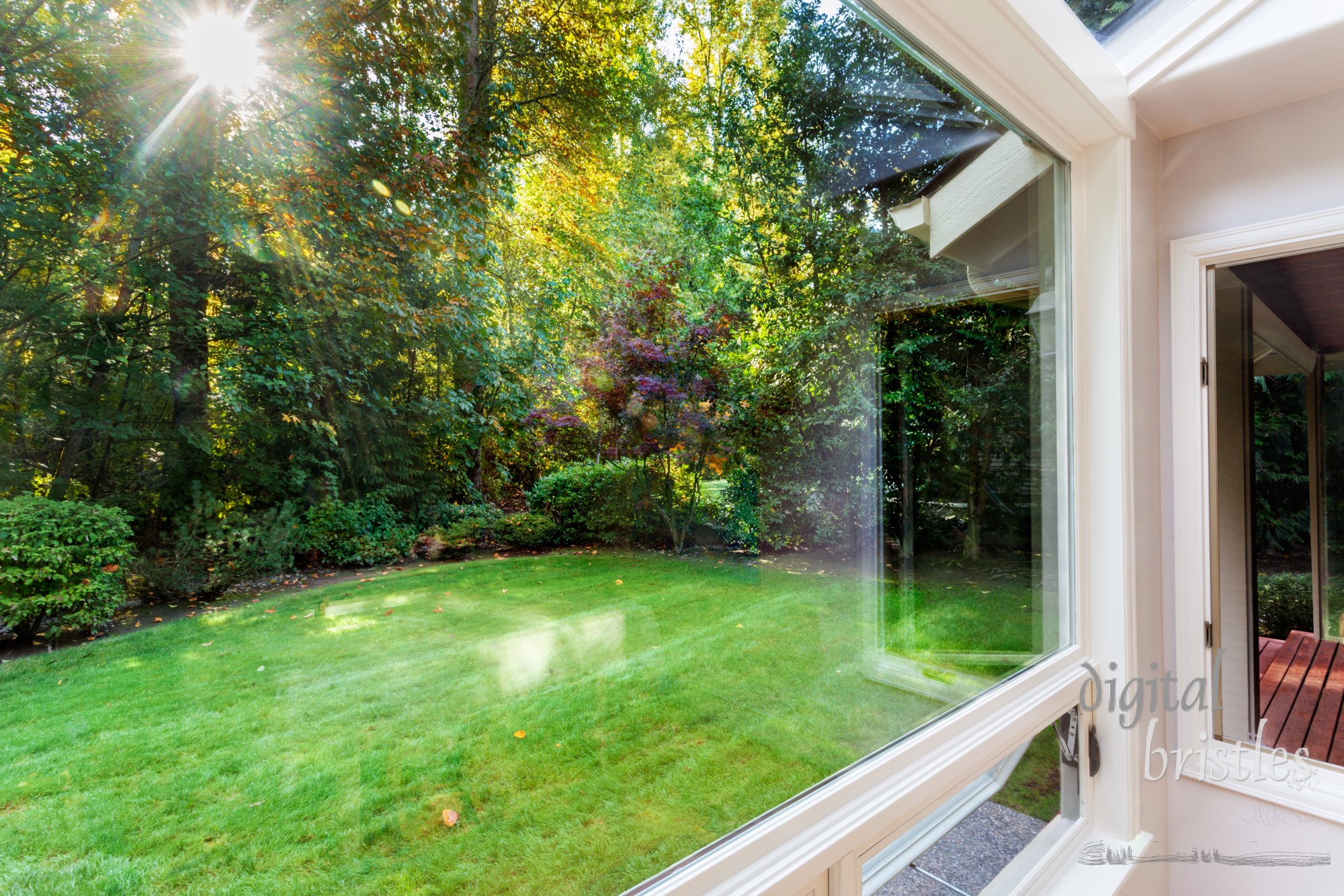 View through the windows of autumn sunshine on the back garden