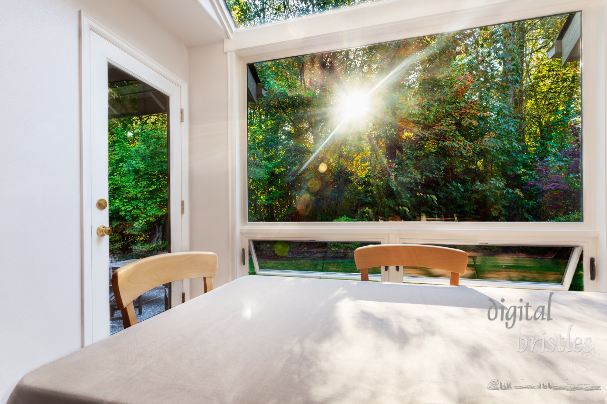 Table and chairs bathed in the dappled early morning sunlight of an autumn garden