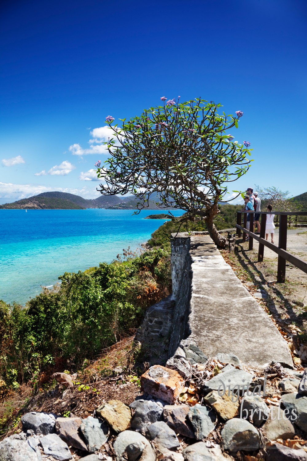 Looking out at the islands beyond Leinster Bay, St. John