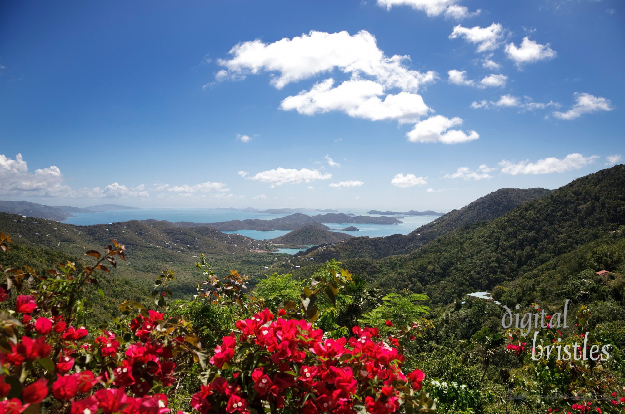 Hilltop view of the Virgin Islands from St John