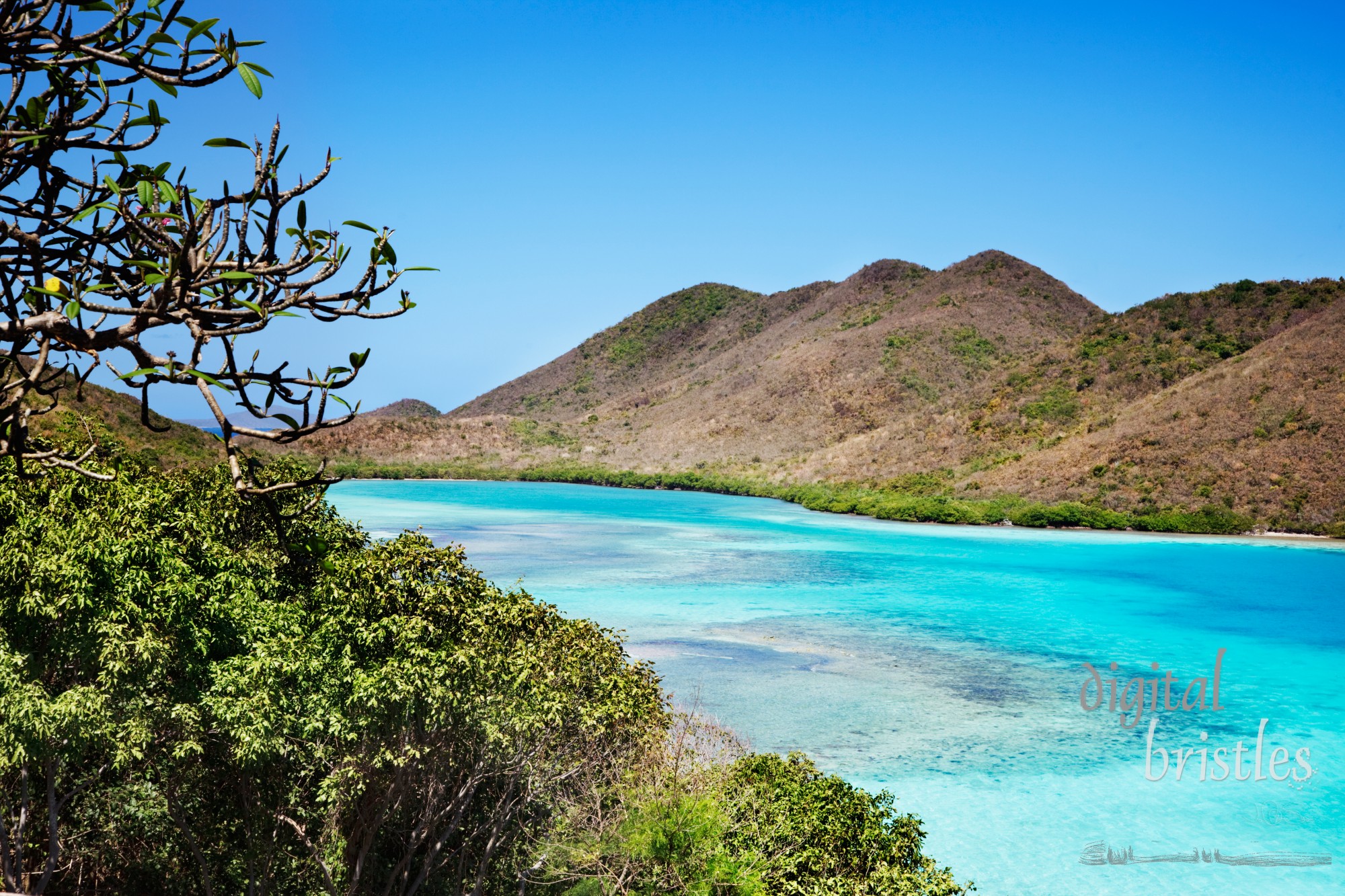 Shallow water at the edge of Leinster Bay