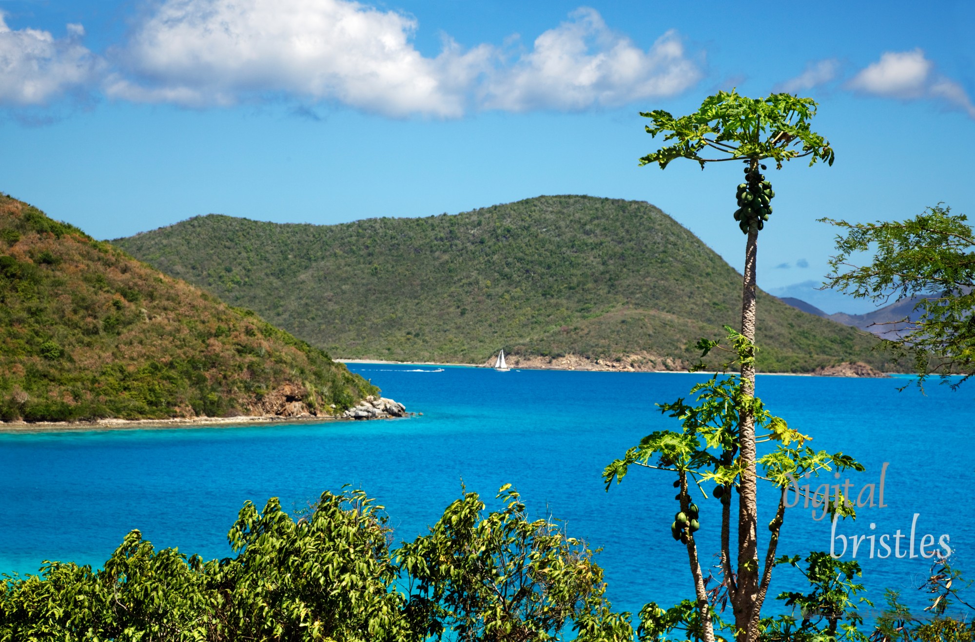 Water's edge, Leinster Bay, St John