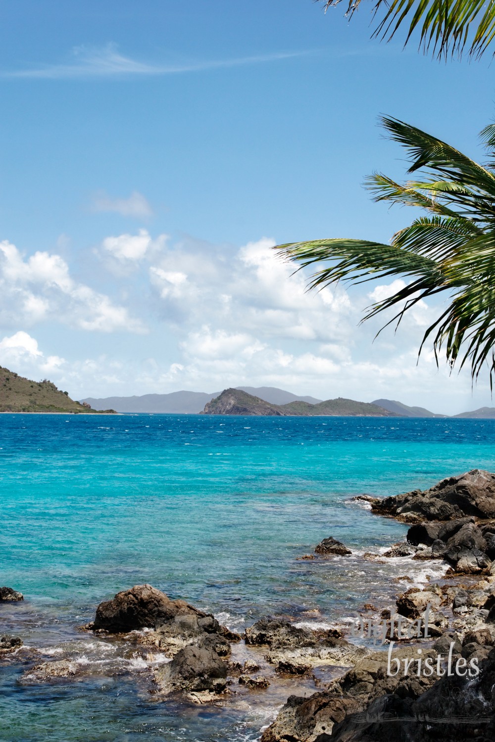 Rocky inlet, St. Thomas, US Virgin Islands