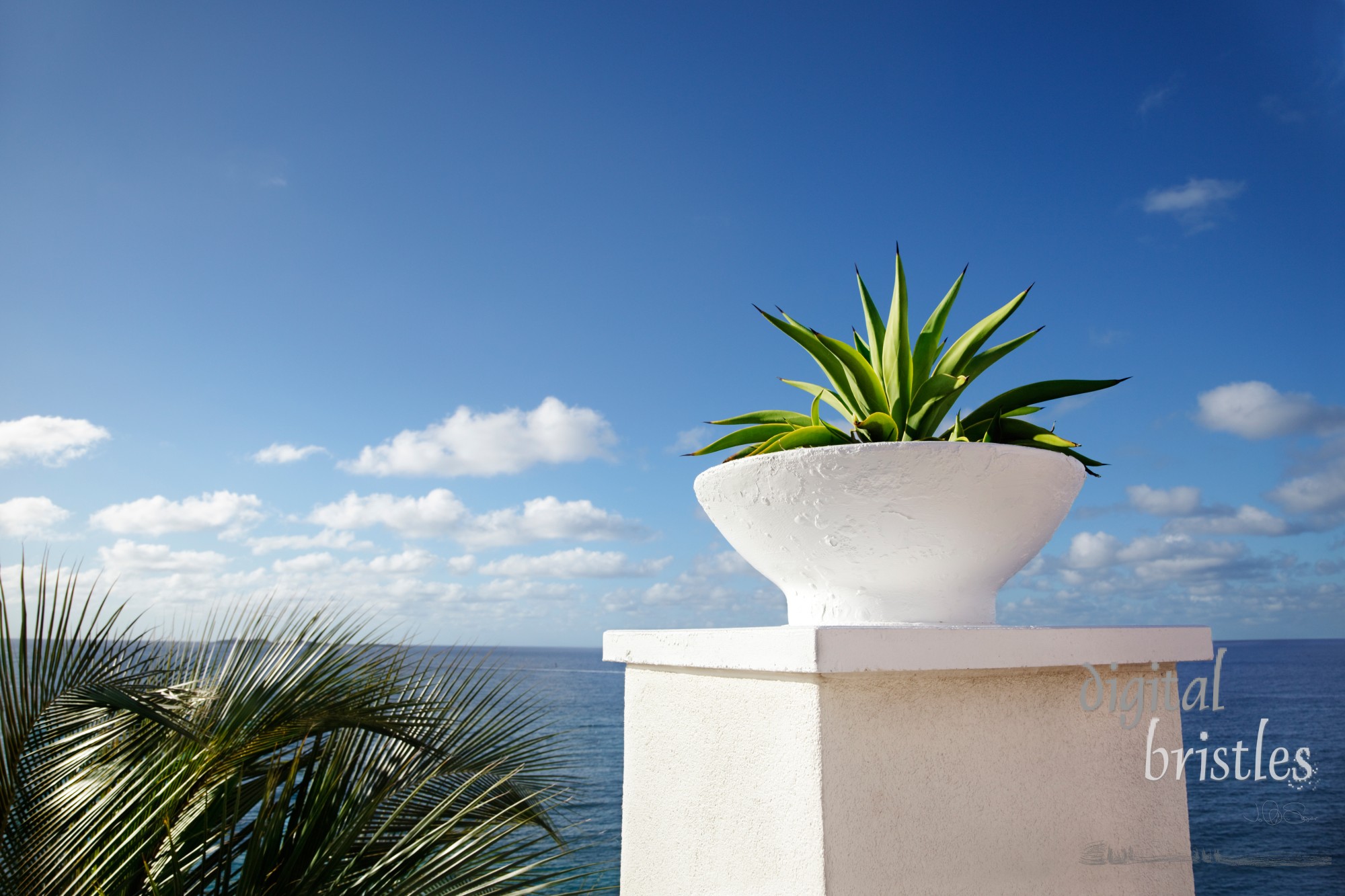 Cliff-top terrace looking out over a tropical ocean