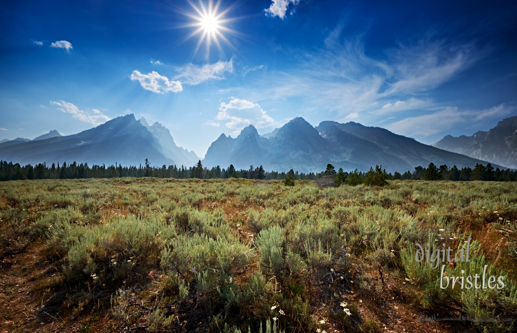 Sage brush and the Tetons in Summer sun in Grand Teton National Park, Wyoming