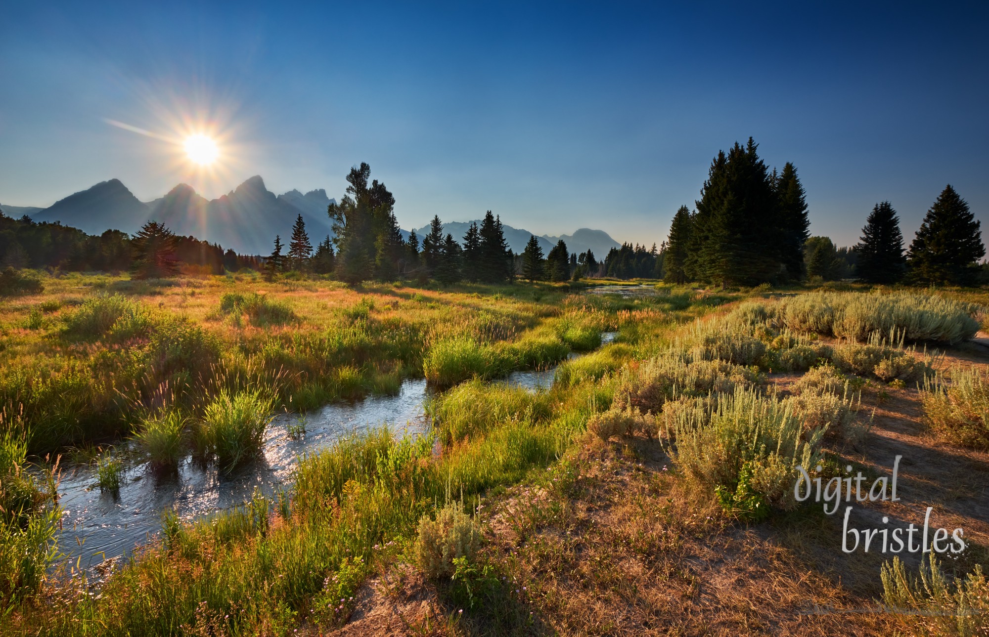 Beaver Dam area on the Snake River along the trail from Schwabacher Landing, Moose, Wyoming