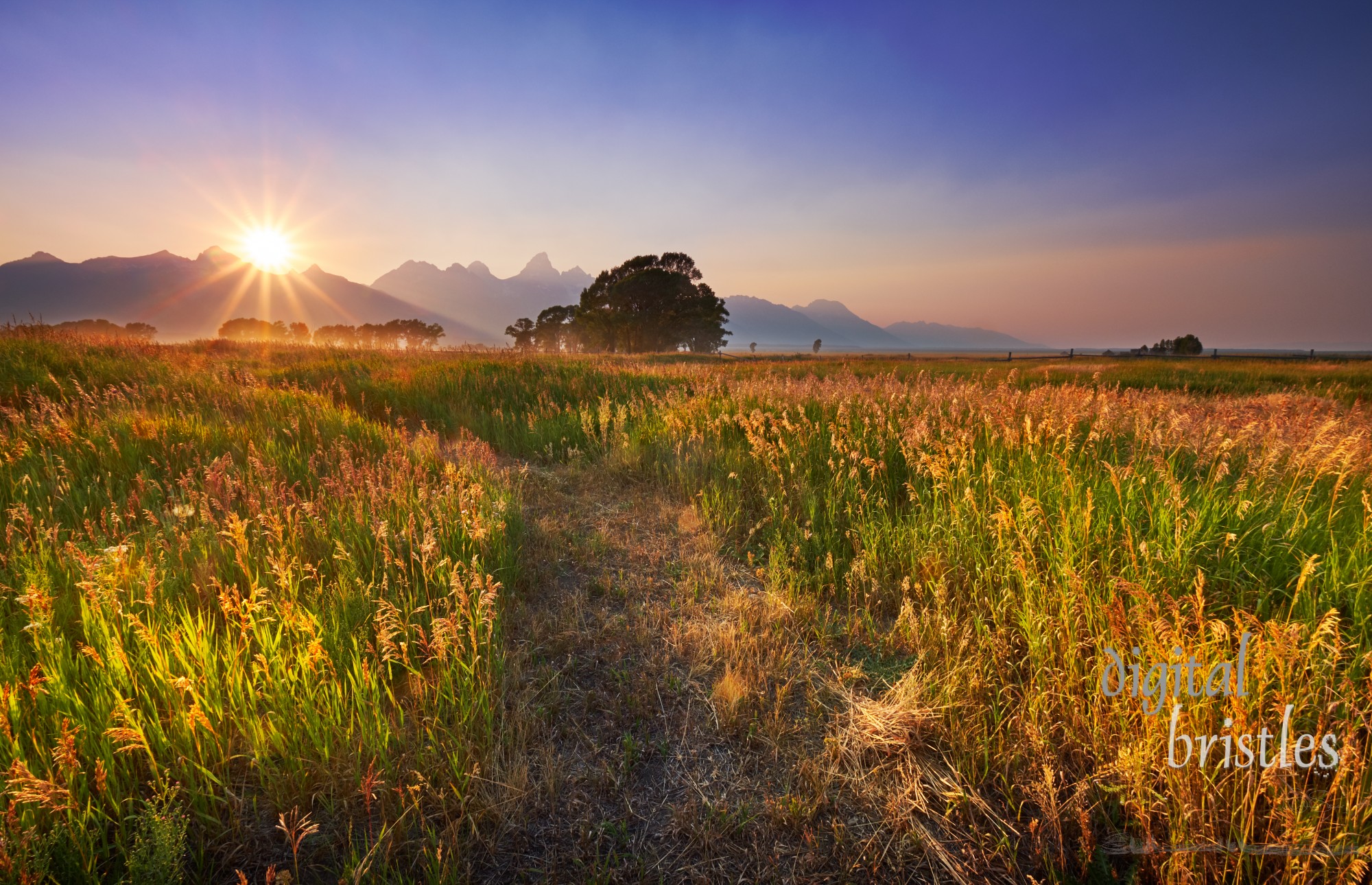 Setting sun lights the fields at Antelope Flats and Mormon Row, Grand Teton National Park, Wyoming