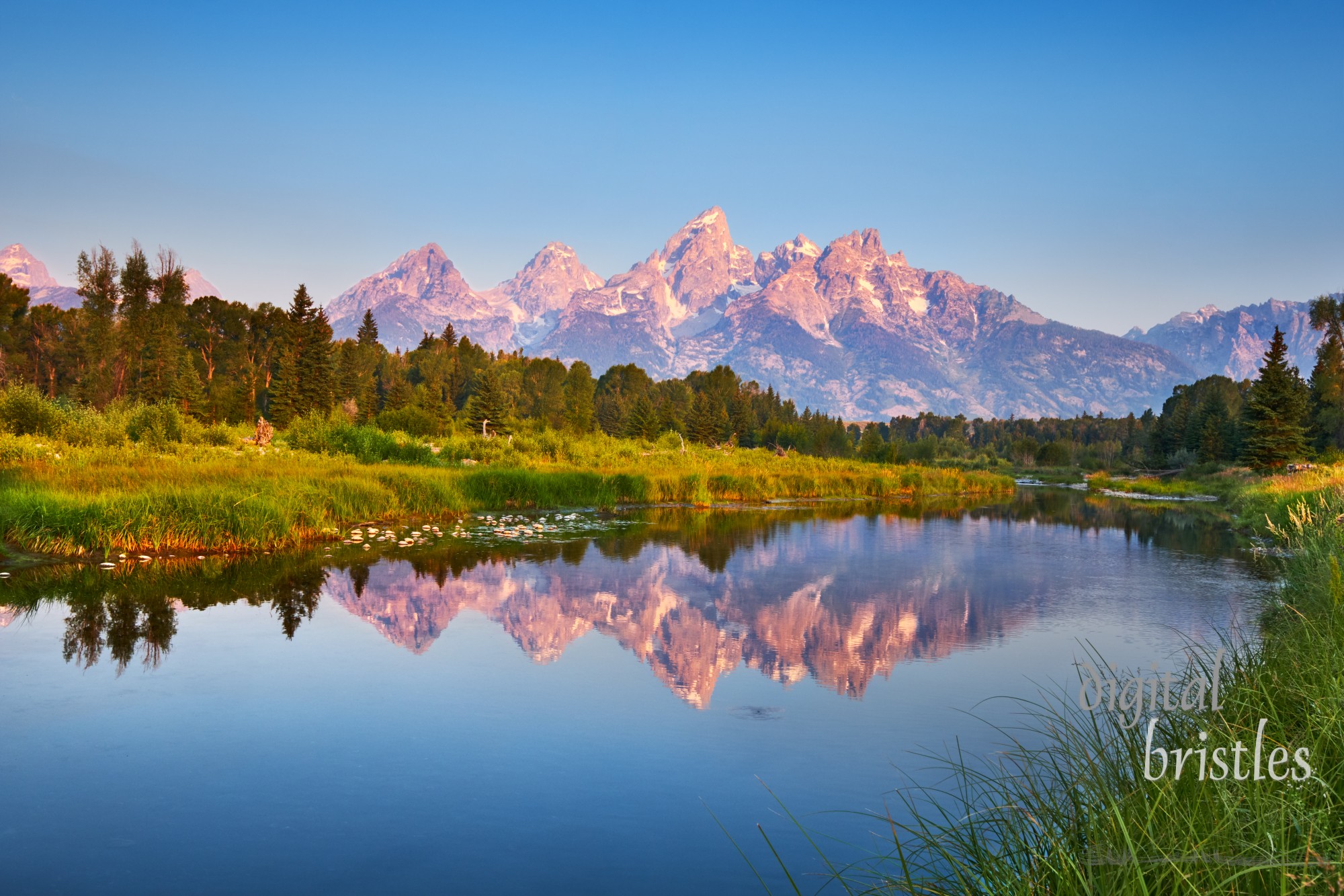 The Tetons reflected in a calm channel of the Snake River at Schwabacher's Landing at sunrise on a Summer morning