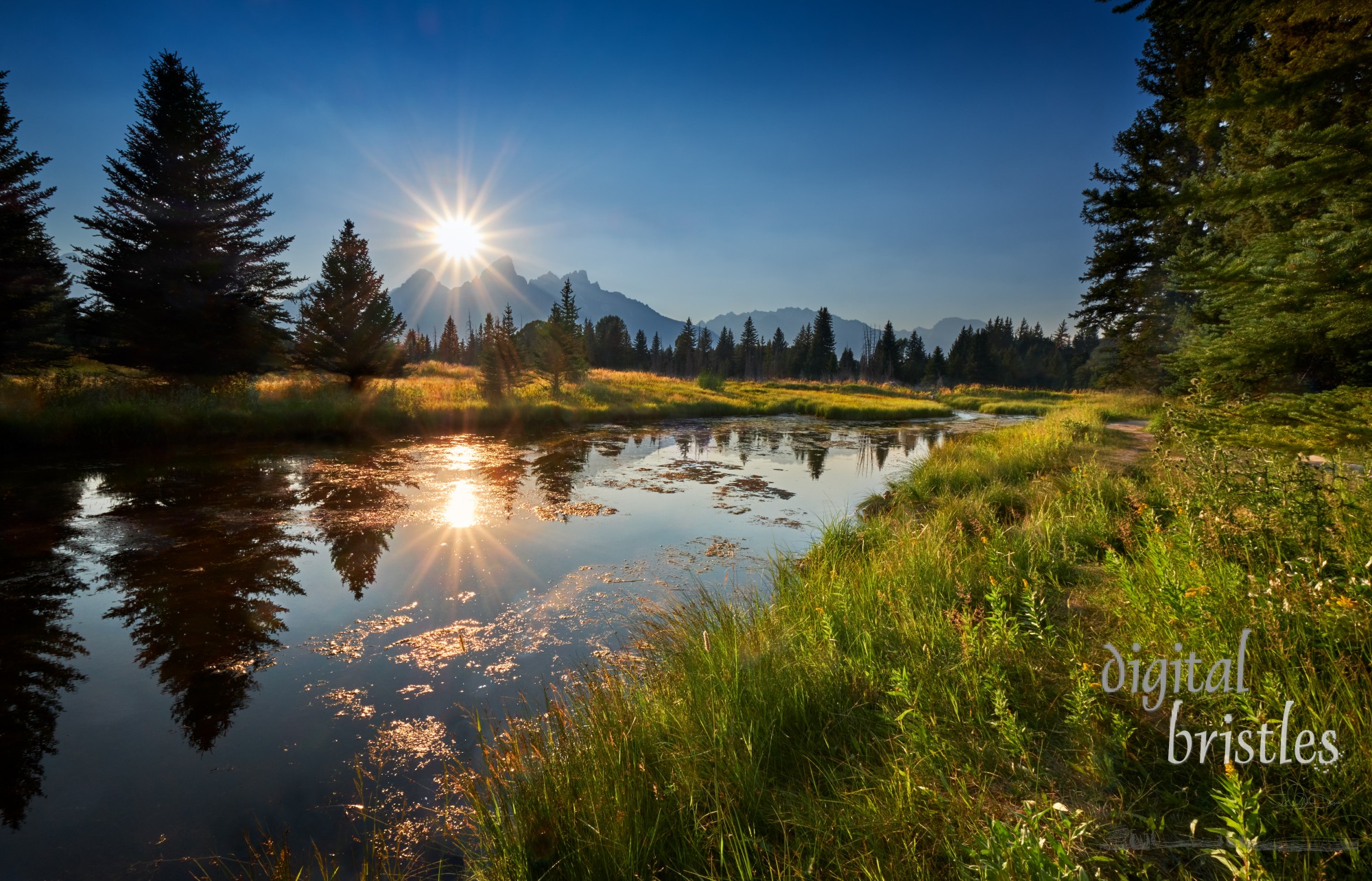 Path by Snake River from Schwabacher Landing to Beaver Dam. as the sun sits just above the Tetons.  Moose, Wyoming