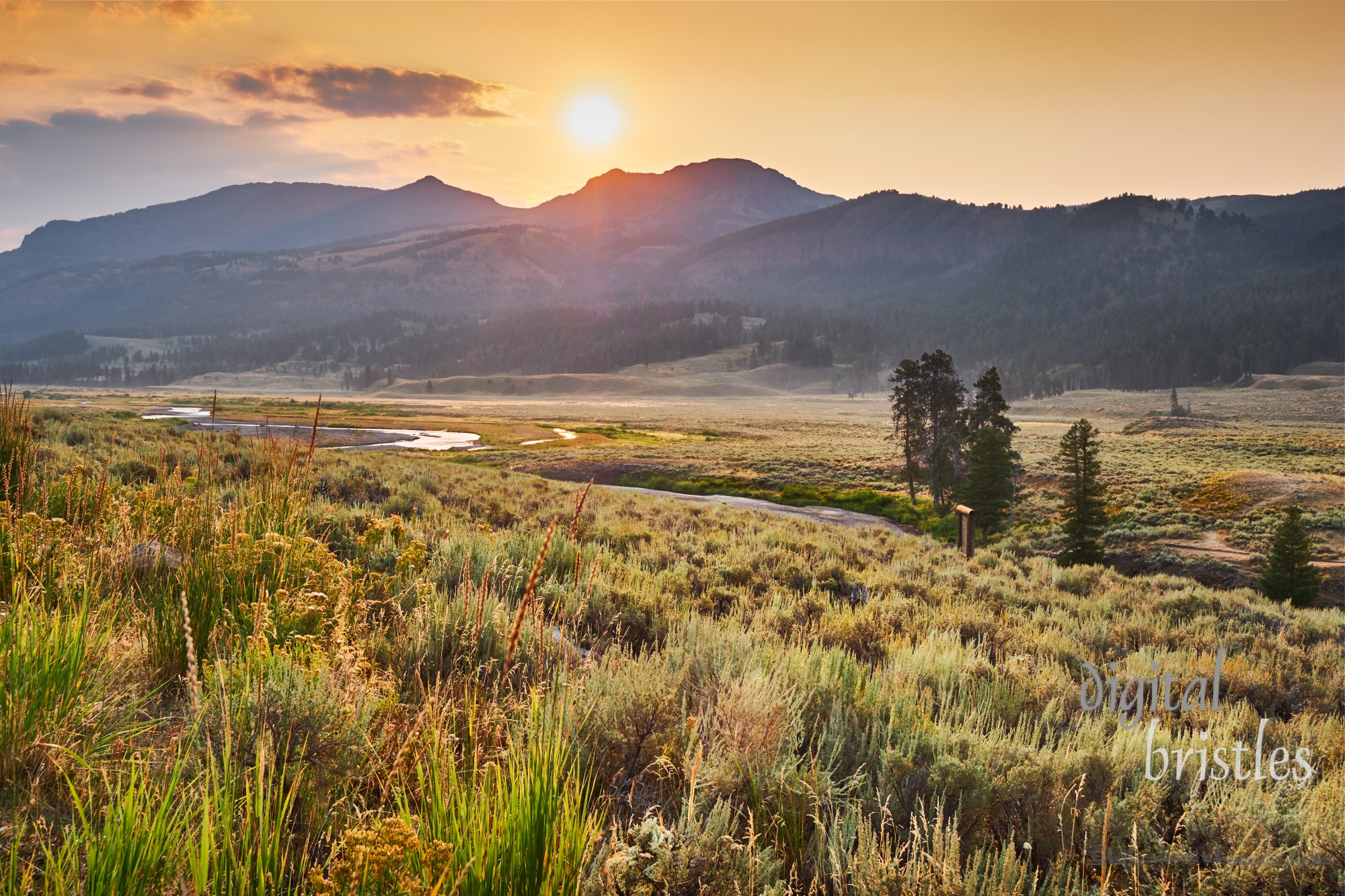 Golden morning light over the sagebrush and winding Soda Butte Creek, Yellowstone National Park, Wyoming