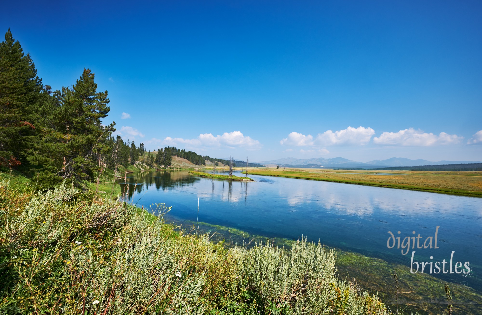 The Yellowstone River winds slowly through the Hayden Valley