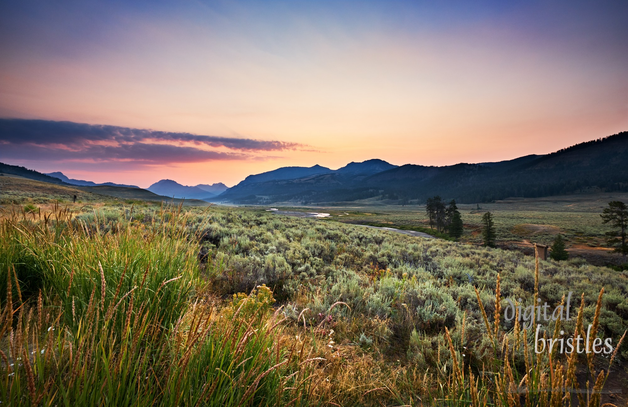 Yellowstone’s Lamar Valley just before sunrise on a Summer morning