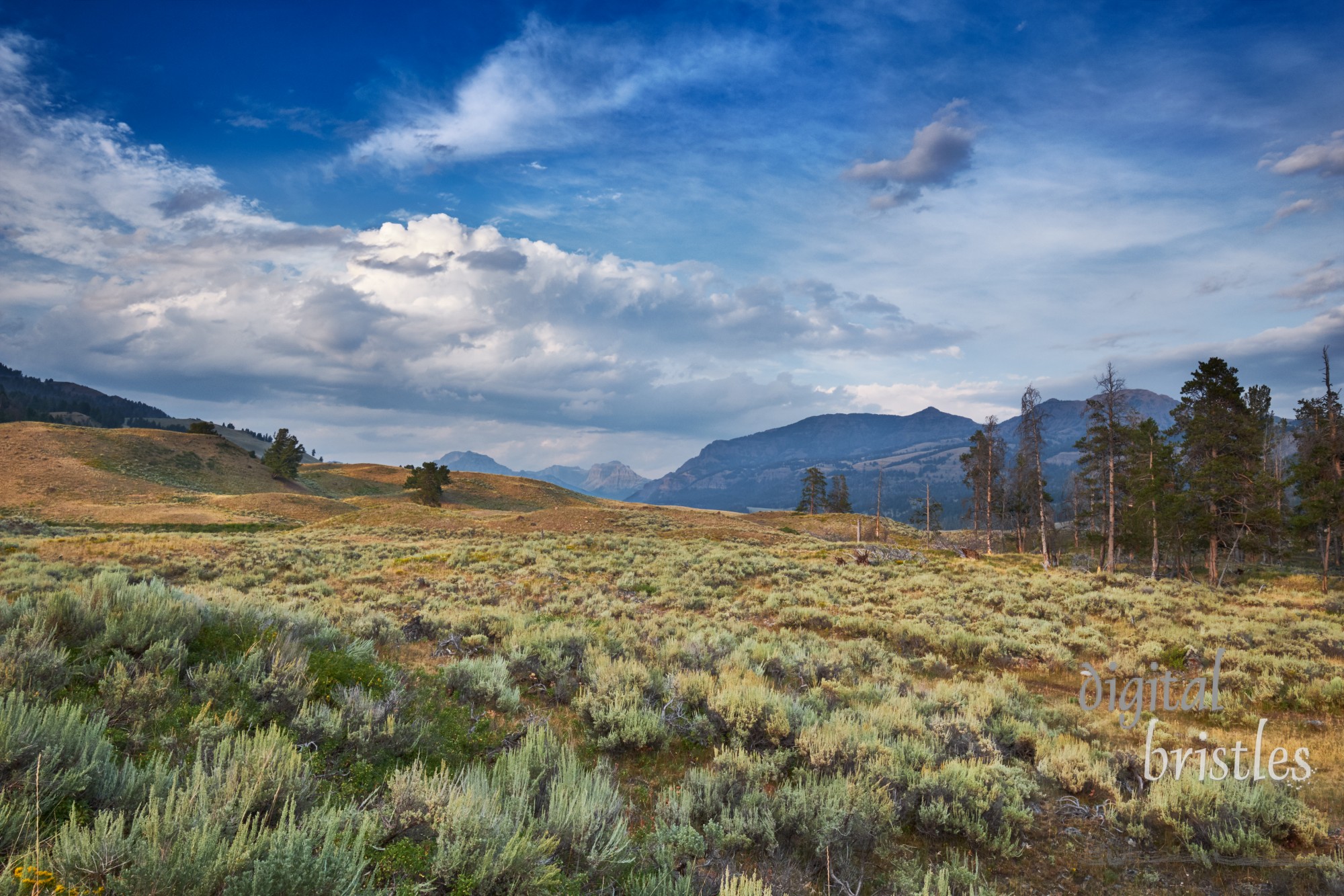 Sagebrush and rulling hills of the Lamar Valley, Yellowstone National Park, Wyoming