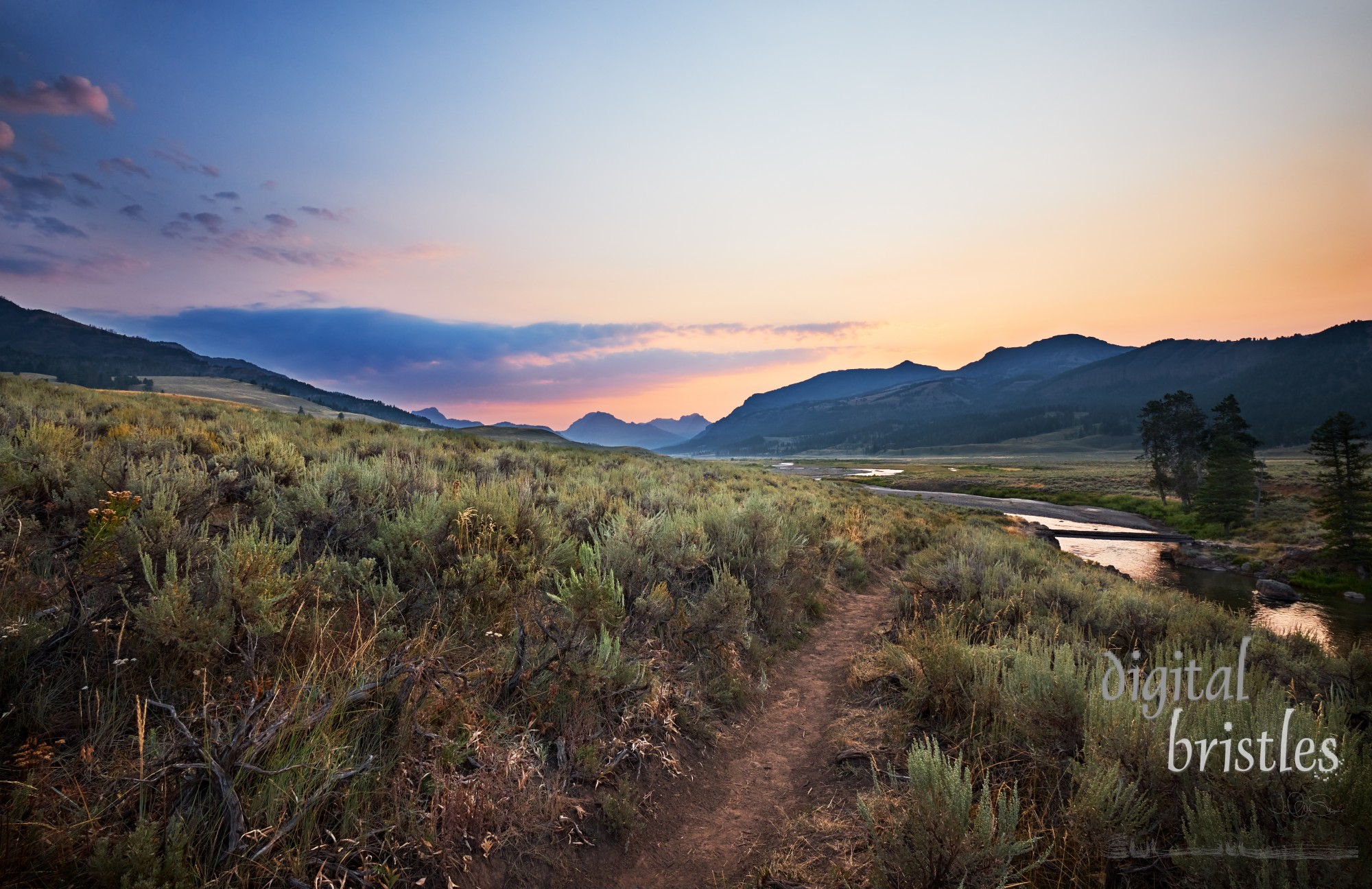 Soda Butte Creek at the Lamar Valley trailhead before dawn on a summer morning. Yellowstone National Park, Wyoming