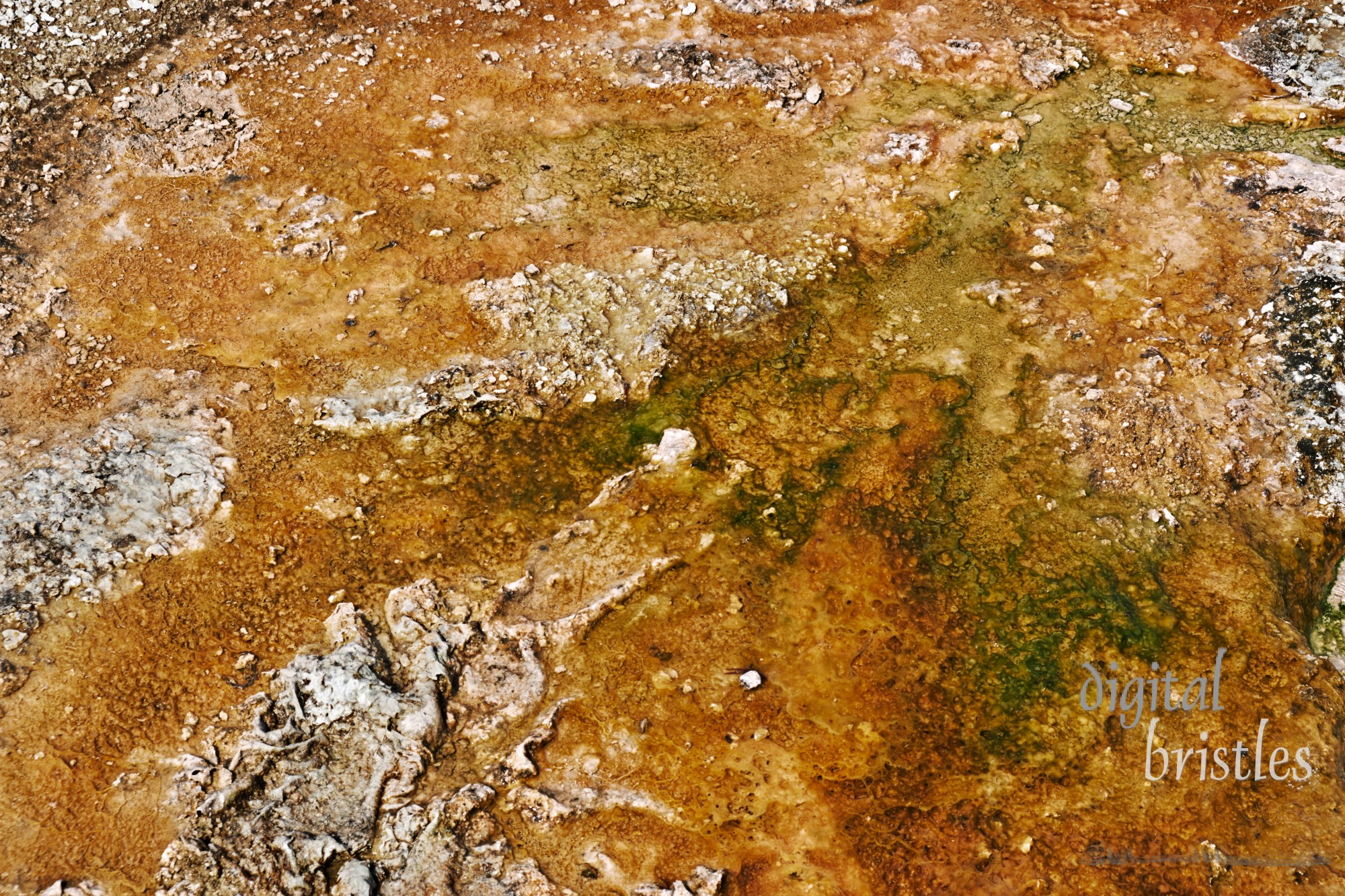 Mineral rich waters bubbling over deposits at Yellowstone's West Thumb Geyser Basin, Wyoming