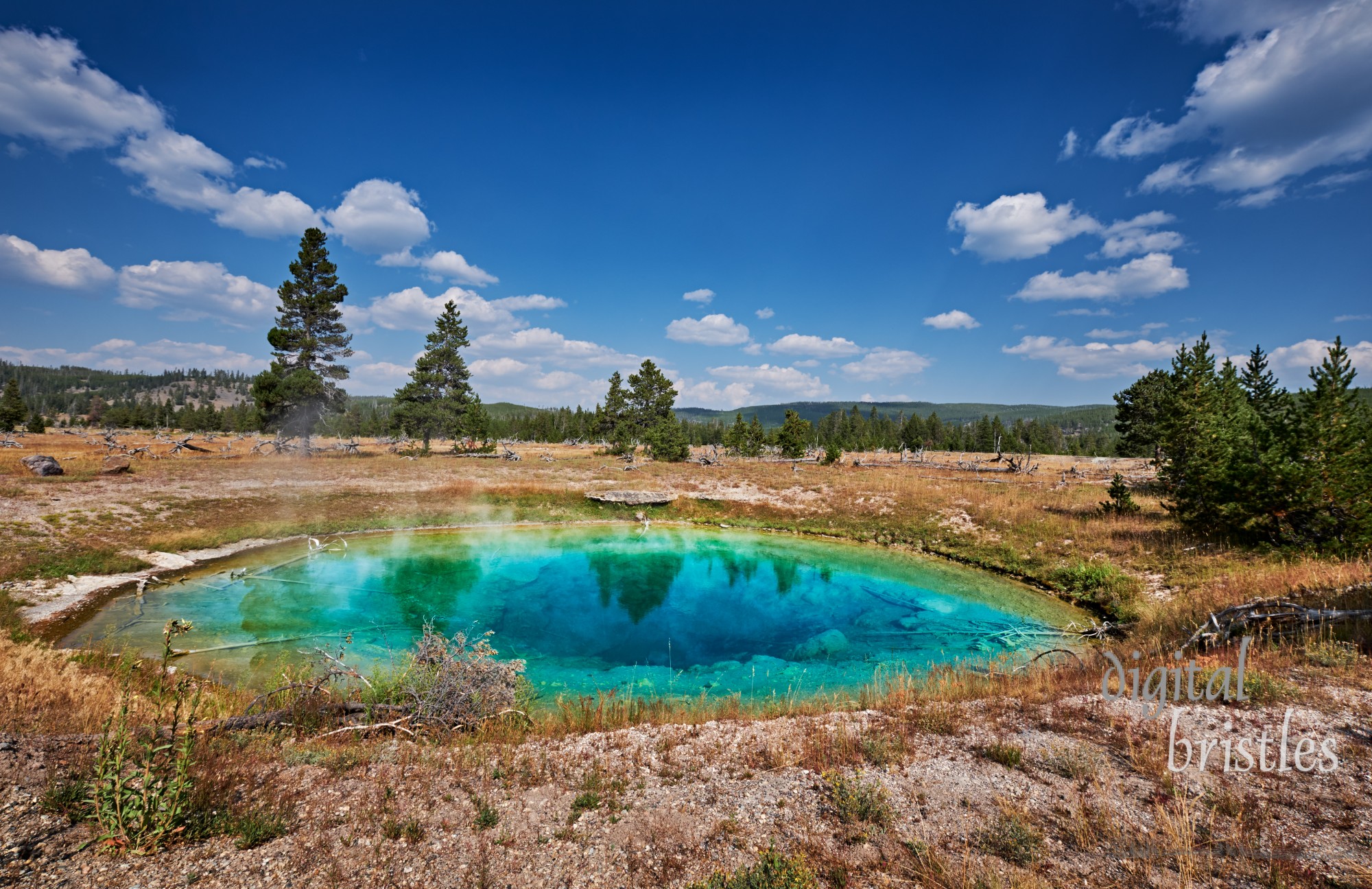 Steaming vivid Tire Pool at the Midway Geyser Basin. Yellowstone National Park, Wyoming