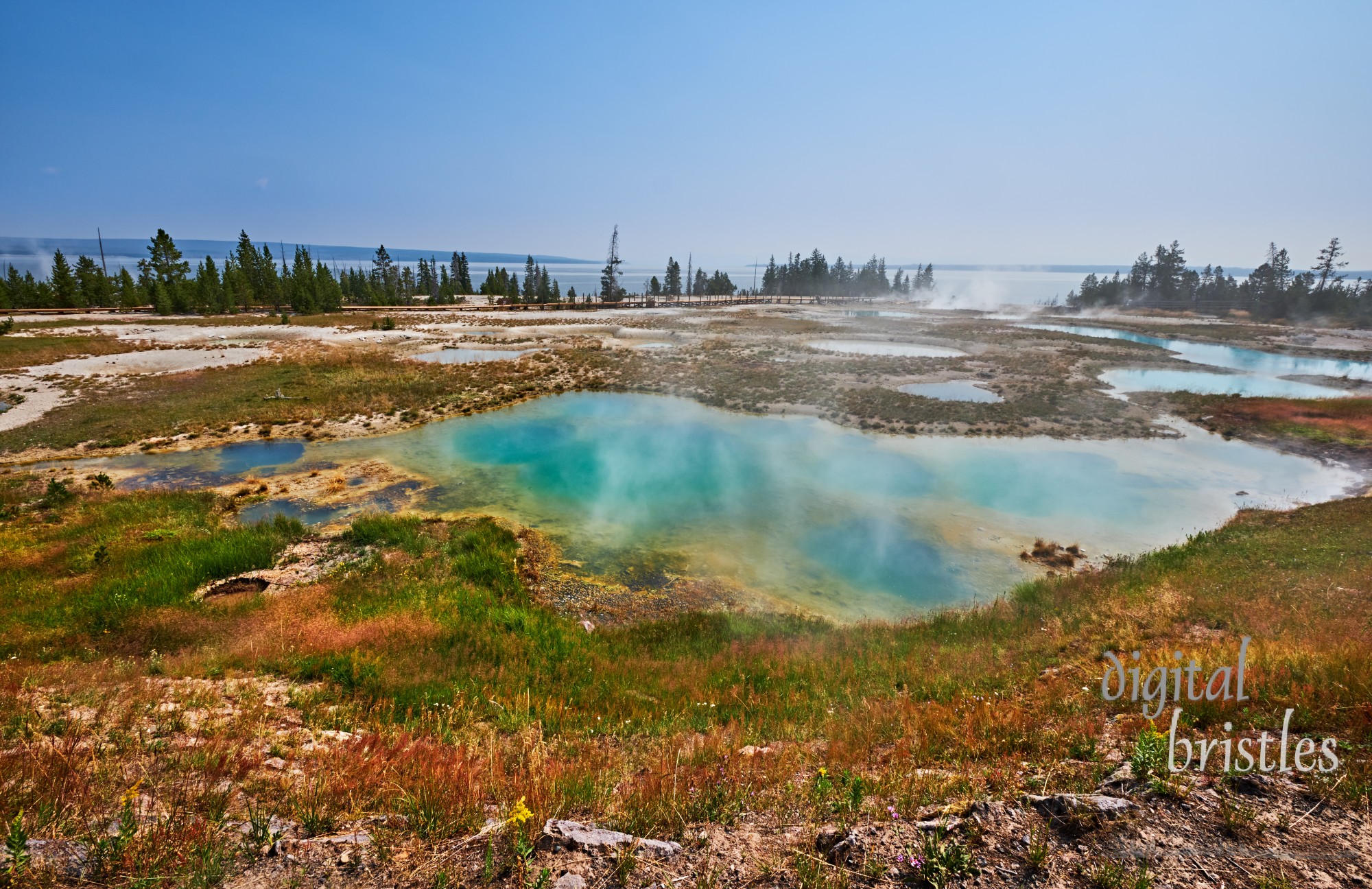 Springs and pools at West Thumb Geyser Basin overlooking Yellowstone Lake. Yellowstone National Park, Wyoming