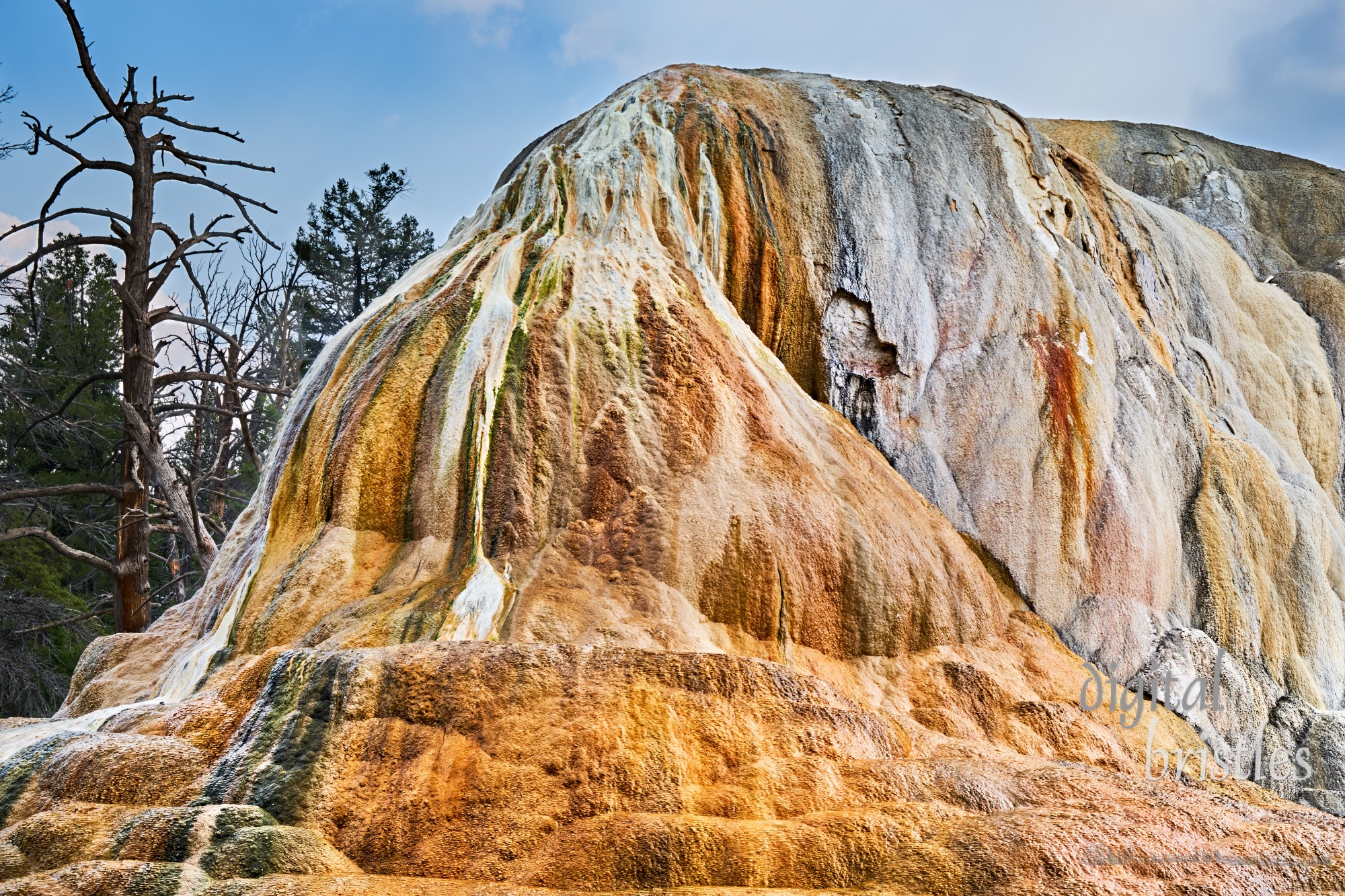 Minerals building up into an elephant-like shape on the back terrace at Mammoth Hot Springs, Yellowstone National Park, Wyoming