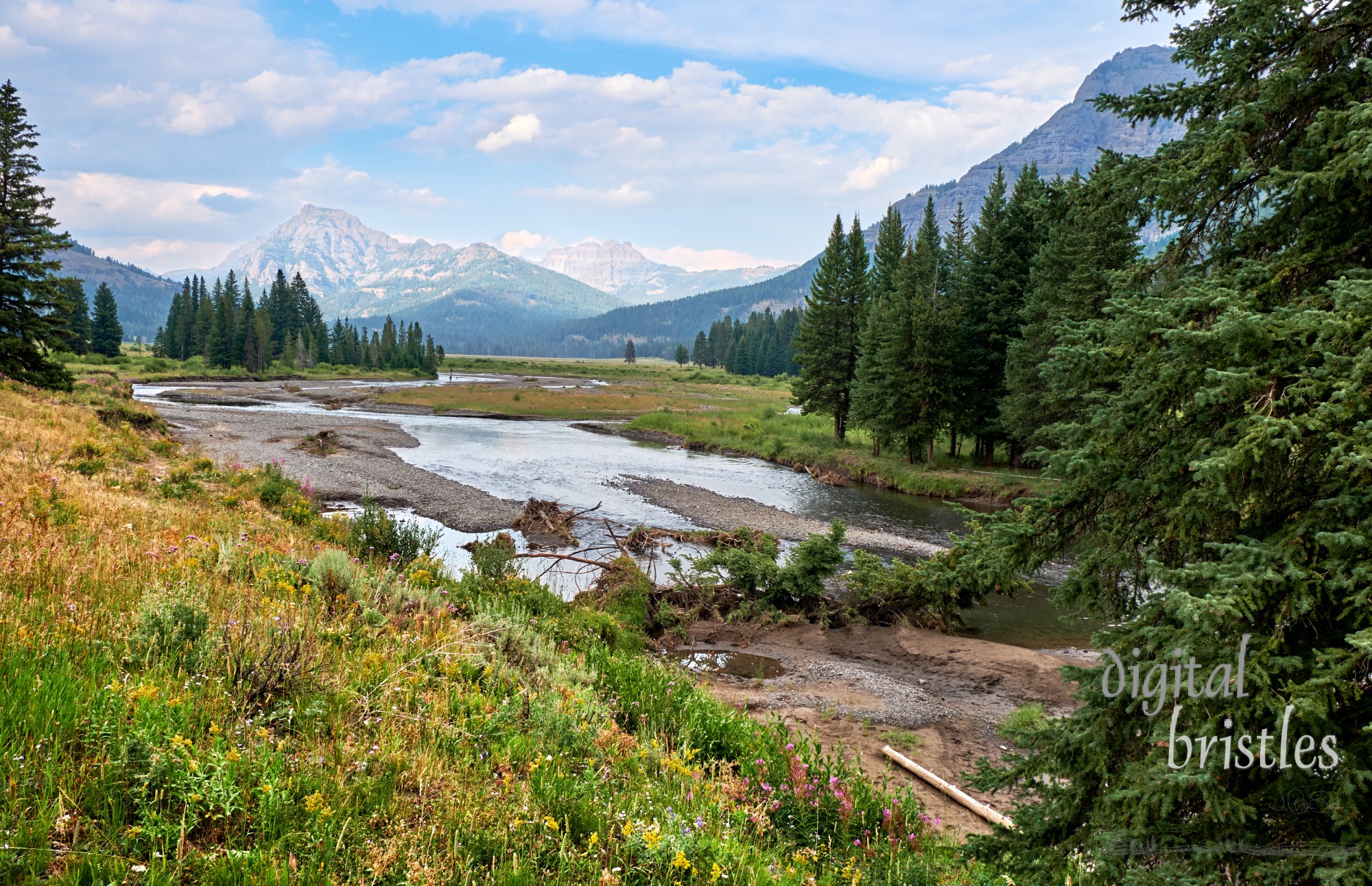 Winding part of Soda Butte Creek, Yellowstone National Park, Wyoming