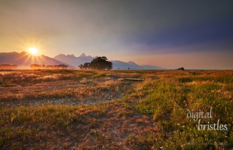 Grand Teton & Yellowstone