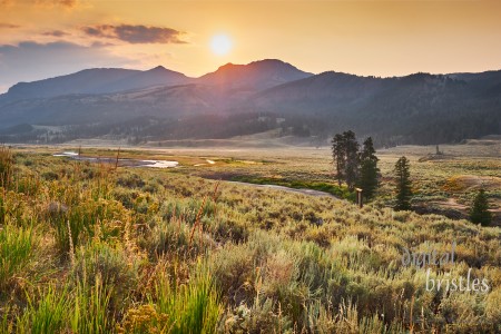 Grand Teton & Yellowstone Grand Teton & Yellowstone