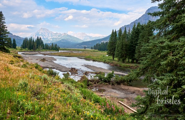 Grand Teton & Yellowstone