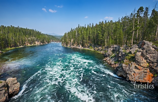 Grand Teton & Yellowstone