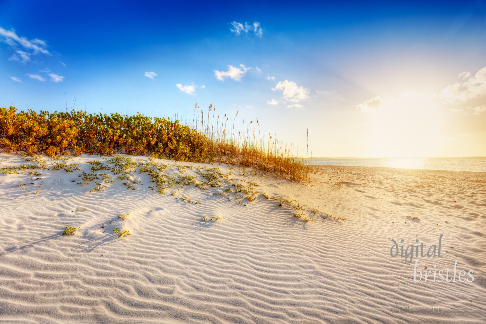 Sun about to set over sand dunes and grasses at Grace Bay Beach, Turks & Caicos