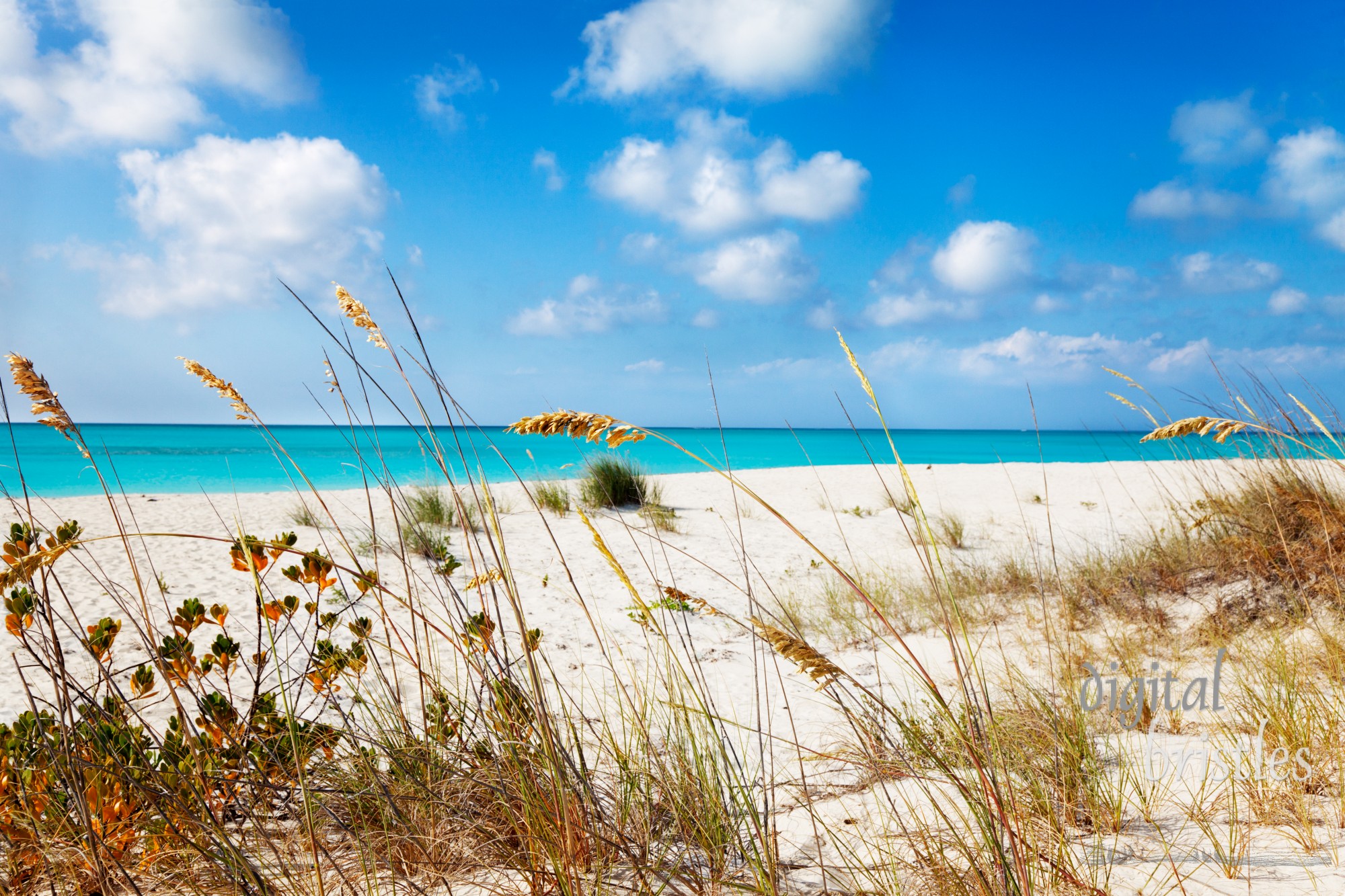 Entering Half Moon Bay from the dunes, Big Water Cay, Turks & Caicos