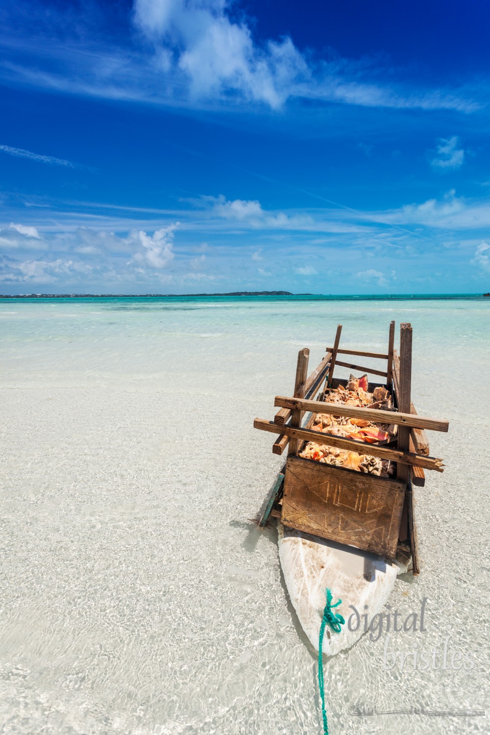 Floating holding tank for Queen Conch in the shallow waters of Five Cays, Providenciales, Turks and Caicos