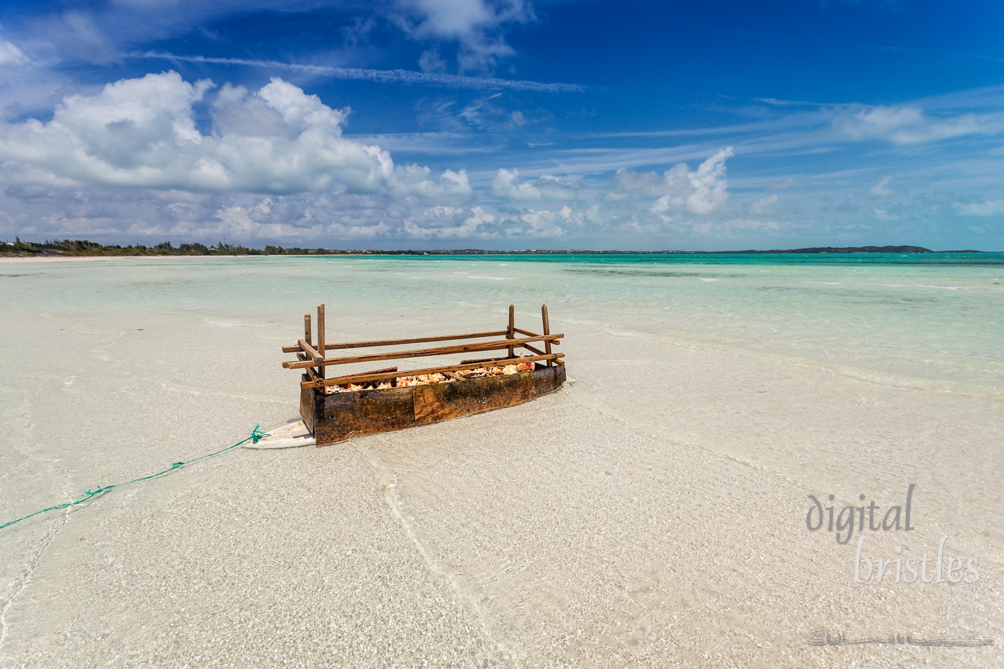 Floating holding tank for Queen Conch in the shallow waters of a bay near Five Cays, Providenciales, Turks and Caicos