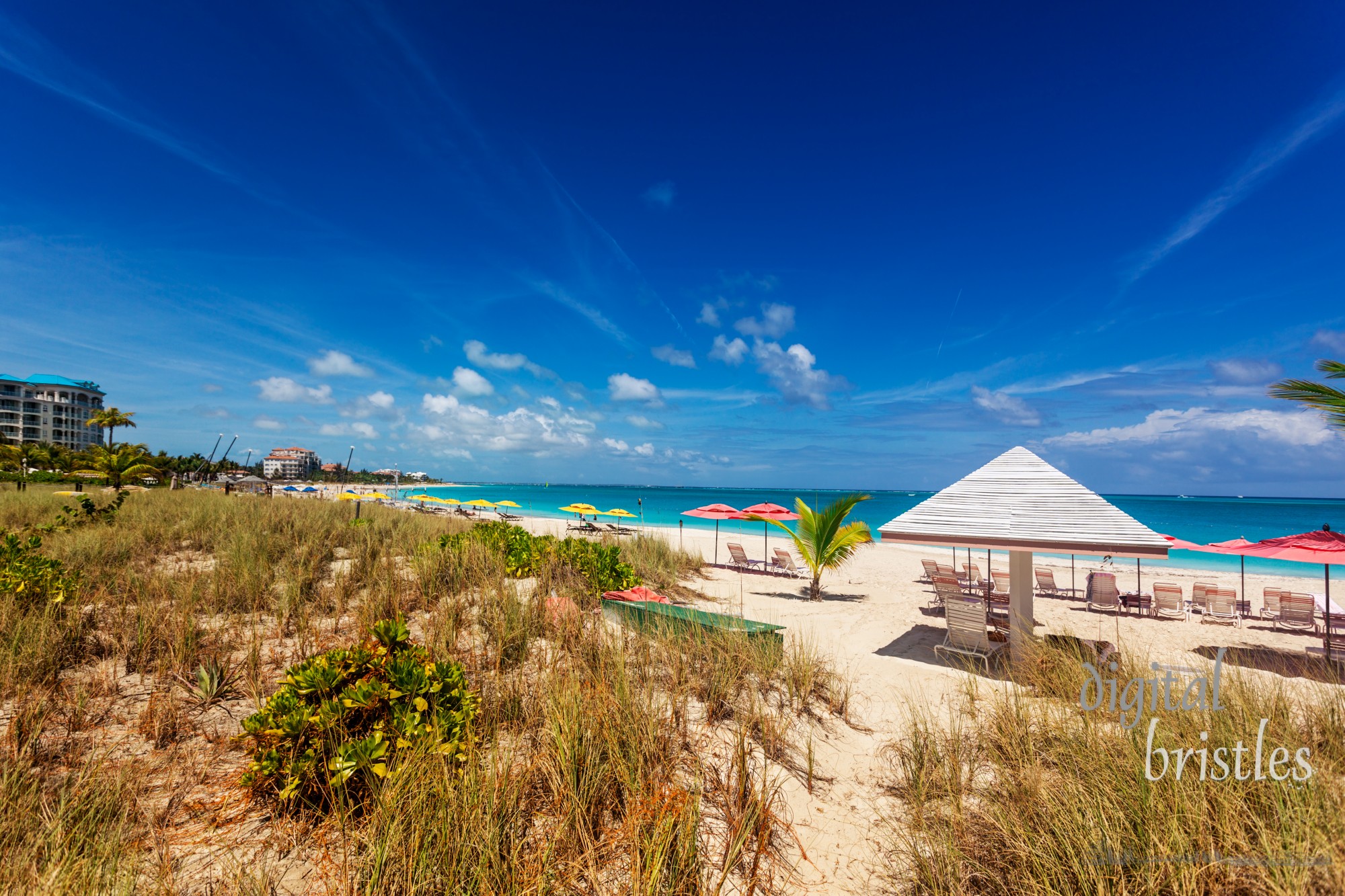 Sand dunes behind a stretch of the long Grace Bay Beach, Providenciales, Turks and Caicos Islands