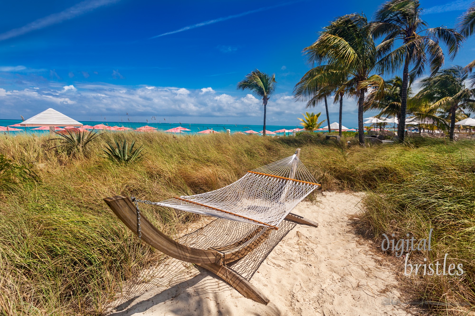 Hammock sits in the dunes on Grace Bay Beach, Turks and Caicos