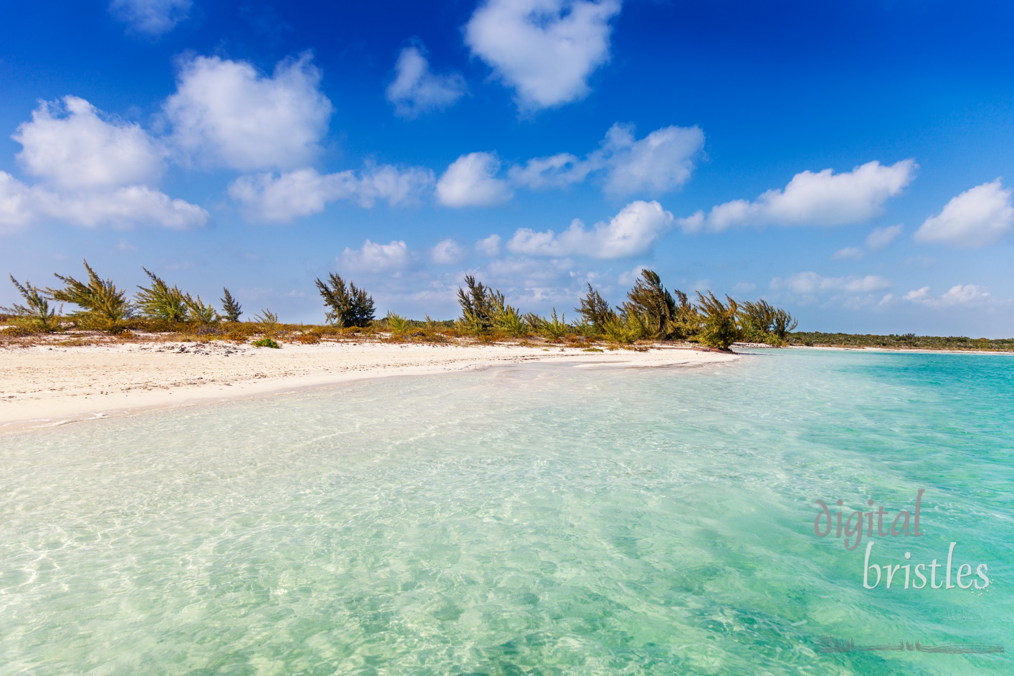 Secluded (reachable only by boat) lagoon on Little Water Cay, Turks and Caicos Islands. On the same spit of land as Half Moon Bay