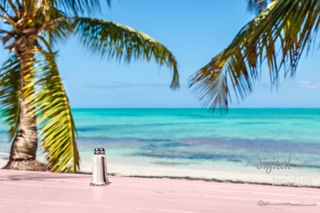Turks & Caicos Islands